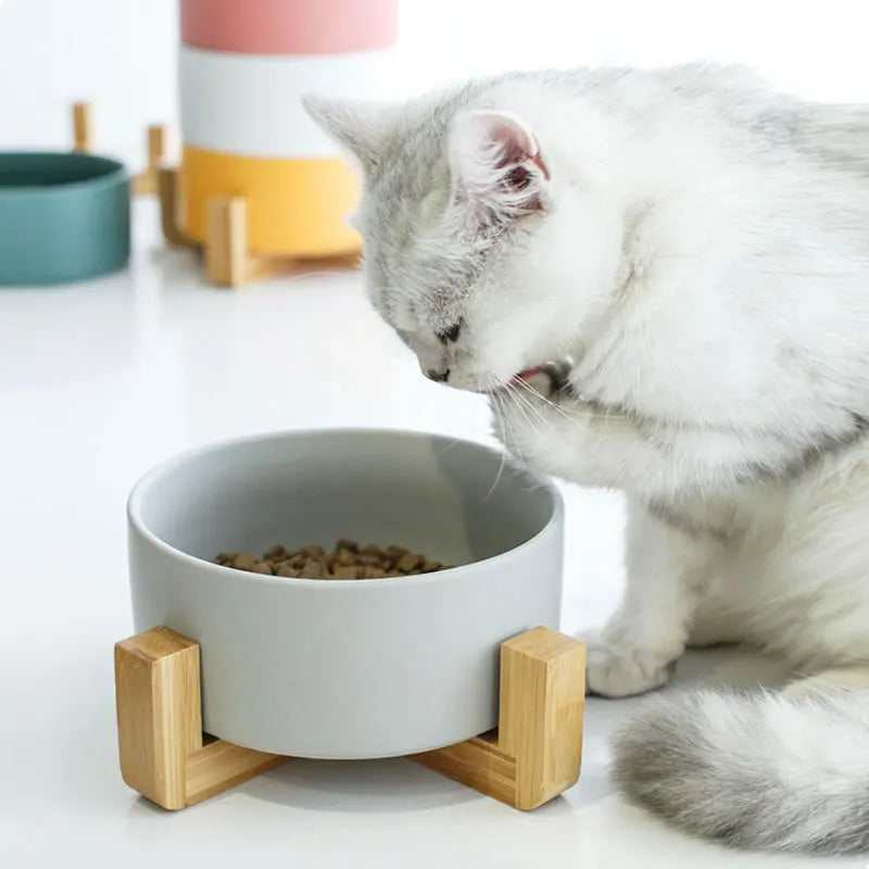 Ceramic Double Cat Bowl