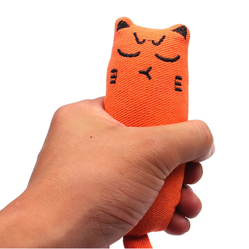 Catnip Toys Funny Interactive Plush Cat Toy