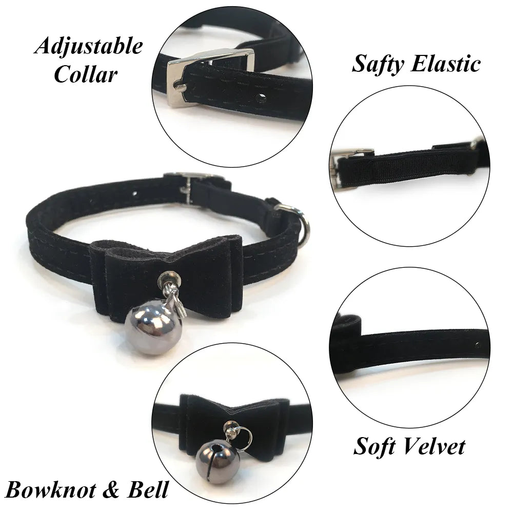 Collar With Bell Collar For Cats & Kittens