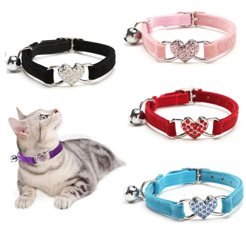 Collar With Bell Collar For Cats & Kittens