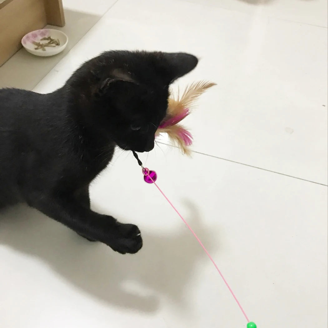 Single Cat Toy Stick with Feather Wand, Bell, and Mouse Cage Attachment