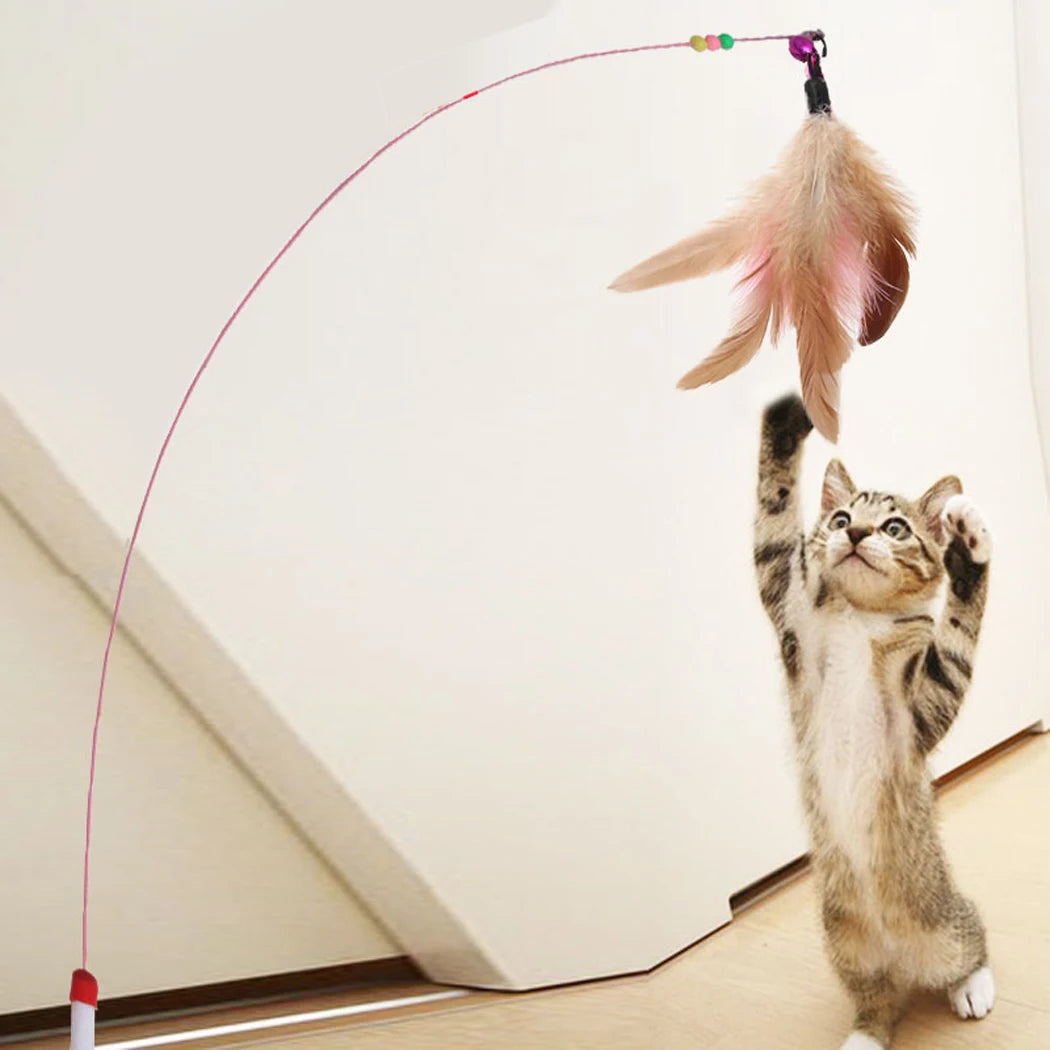 Single Cat Toy Stick with Feather Wand, Bell, and Mouse Cage Attachment