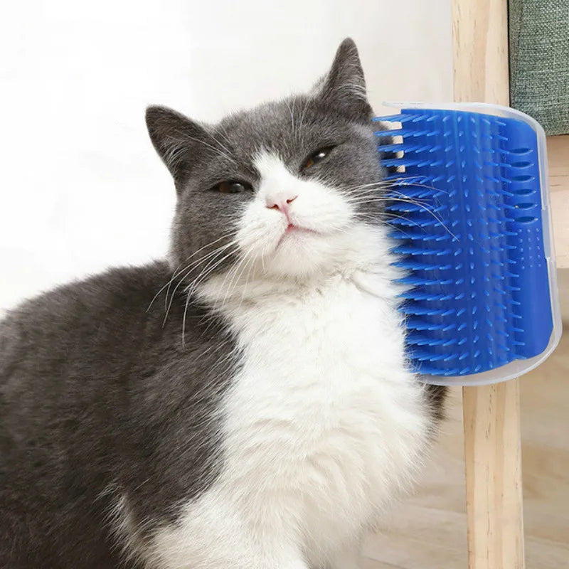 Self Grooming Comb Brush With Catnip Corner