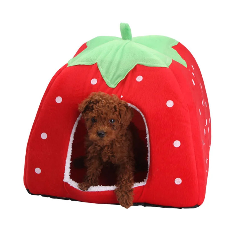 Foldable Strawberry Pet House Bed for Cats, Dogs and Small Animals (S-XXL)