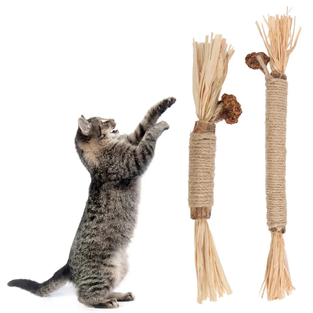 Silvervine Chew Stick for Cats - Natural Catnip-Infused Pet Snacks for Kitten Dental Care and Entertainment