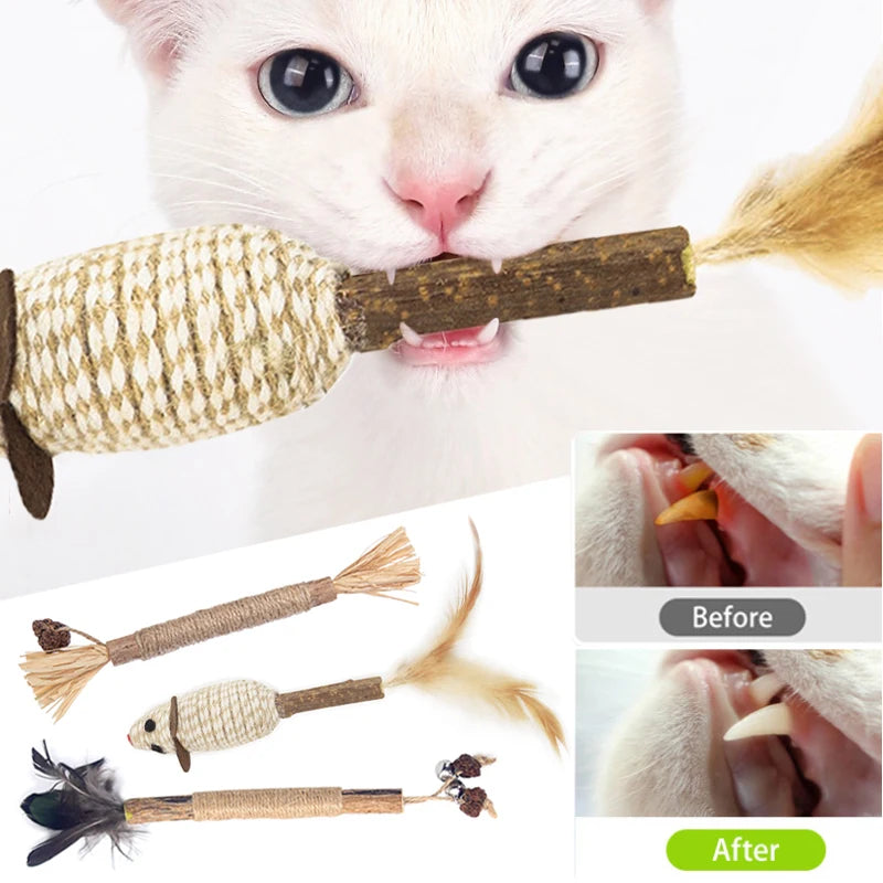 Silvervine Chew Stick for Cats - Natural Catnip-Infused Pet Snacks for Kitten Dental Care and Entertainment