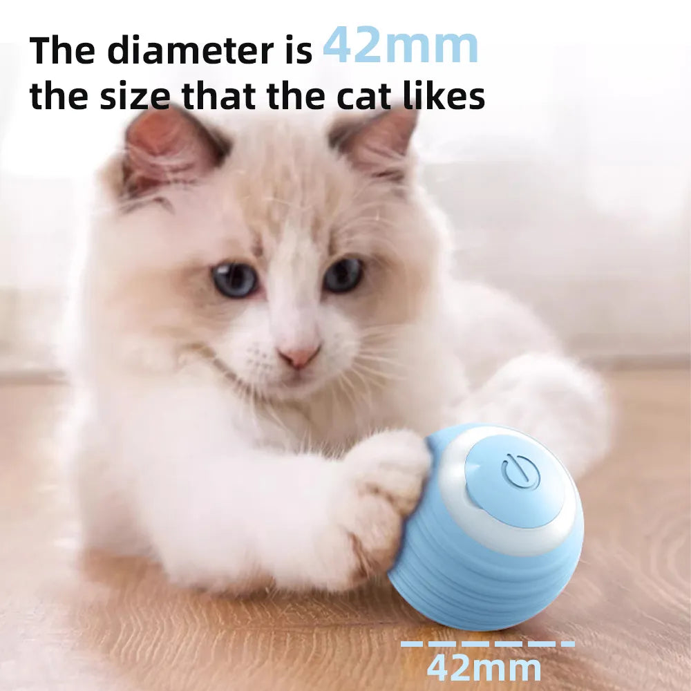 Cat Interactive Smart Ball