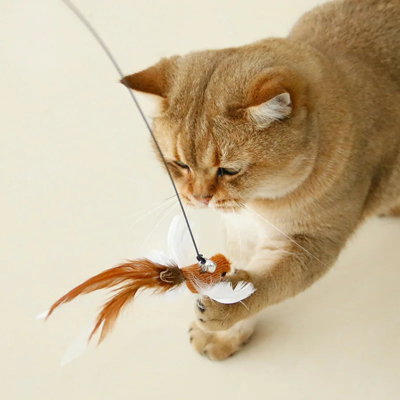 Suction Cup Interactive Bird/Feather Cat Wand with Bell - Hands-Free Toy for Cats and Kittens